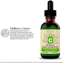 Load image into Gallery viewer, (2oz) Chlorophyll Liquid Drops for Water Natural Chlorophyll Concentrate
