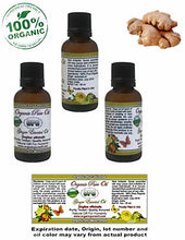 Load image into Gallery viewer, 1 oz Ginger Essential oil Zingiber officinalis 100% Pure Organic Natural Therapeutic Grade A Steamed Distilled
